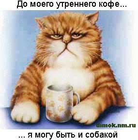Нажмите для перехода к следующей картинке
