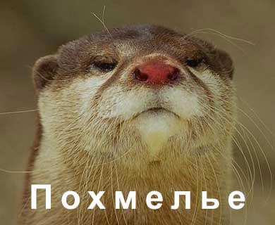 Нажмите для перехода к следующей картинке