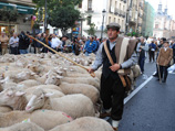       Fiesta de la Trashumancia,    