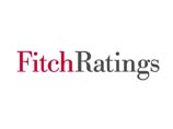    Fitch    ""  ""   15  ,  ,  (), -,   