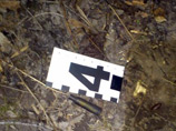  "   -   " (-),      ,       