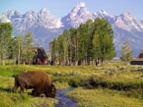    21-   ,     Grand Teton   ,      