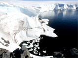     "    ,    - ,       -    ",   