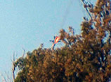   ,      "-",    F-16