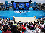   SeaWorld     