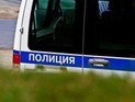 Во Владимире задержаны подростки, снявшие на видео садистское убийство кота Во Владимире задержаны подростки, снявшие на видео садистское убийство кота