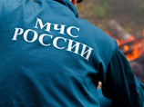 МЧС в Подмосковье переведено в режим чрезвычайной ситуации из-за высокой пожарной опасности