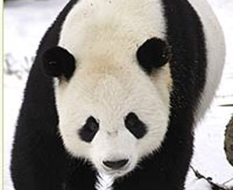    nationalzoo.si.edu