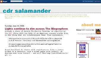    cdrsalamander.blogspot.com 