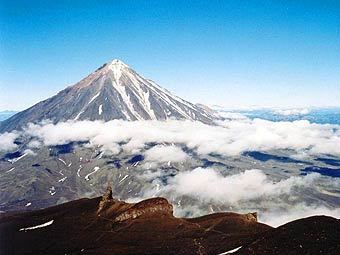 .    spbkamchatka.ru 