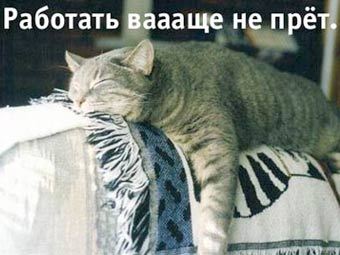    nnm.ru 