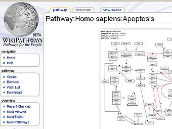      WikiPathways