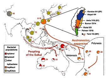       , ""    H. pylori.     