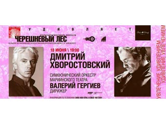        .    hvorostovsky.su