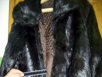 ,     .    dvtu.customs.ru