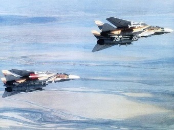 F-14 Tomcat  .    airwarriors.com