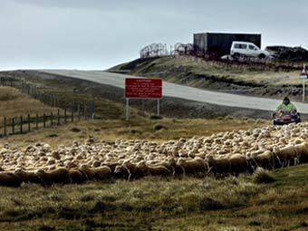     ,  ©AFP
