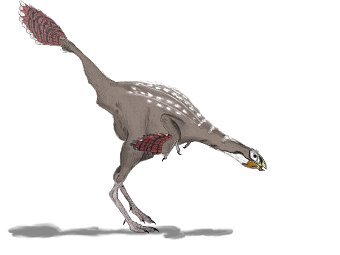   Caudipteryx zoui,   , -,  .  Matt Martyniuk Dinoguy2
