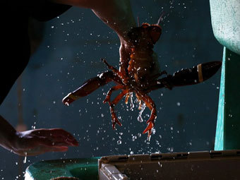  Reuters 