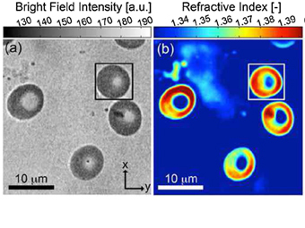     :    .    K. G. Phillips et al., Phys. Rev. Lett. (2012)