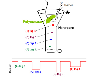    Kumar et al., 2012