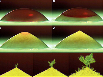    ()     .  Enríquez /Marin/Winkels/Snoeijer Physics of Fluids Group, University of Twente, Enschede, The Netherlands