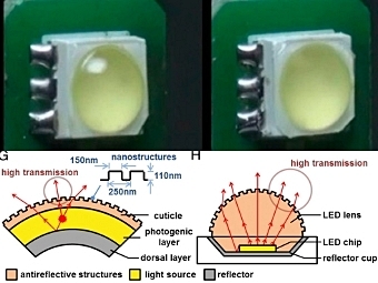     ()   () .        ().    Jae-Jun Kim et al., PNAS 2012